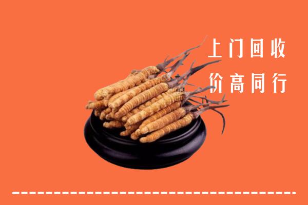 高价求购：常平镇回收散虫草