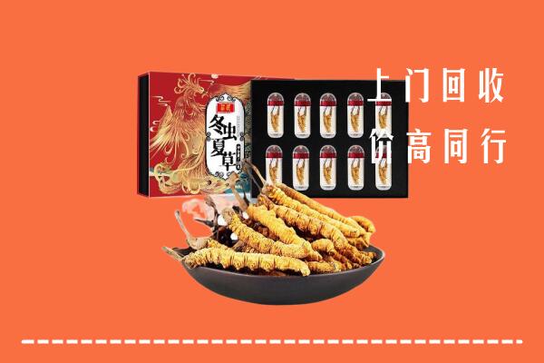 常平镇回收虫草